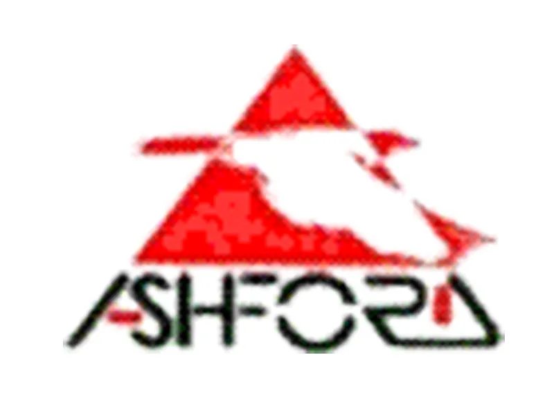 Ashford Computer Systems website